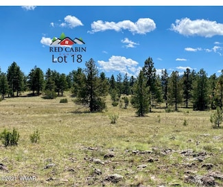 Lot 18 Red Cabin Ranch Unit Deer Trail, Vernon, AZ 85940