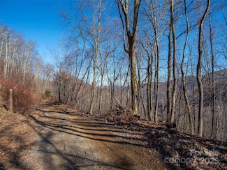 00 Long Branch Rd, Maggie Valley, NC 28751
