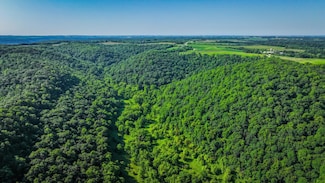 xxx E Twin Ridge Rd, Houston, MN 55943