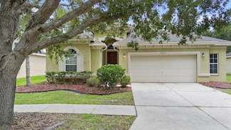 4515 Fieldview Cir, Wesley Chapel, FL 33545