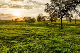 TBD Sunshine Lot 13 Ct, Chappell Hill, TX 77426
