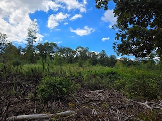 County Road 174, Piedmont, AL 36272