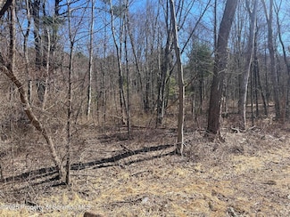 Lot 8 Lower Narrows Rd, South Abingtn Township, PA 18411