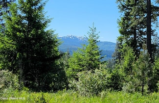 NNA Falcon Ridge Drive - #1, Naples, ID 83847