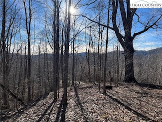 Lot 33 Paradise Valley Dr, Creston, NC 28615
