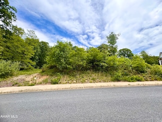 718 Brush Oaks Dr, Logan Township, PA 16602