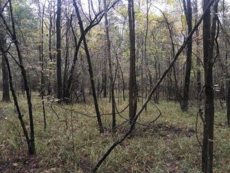 0 Bowling Green Rd, Durant, MS 39063