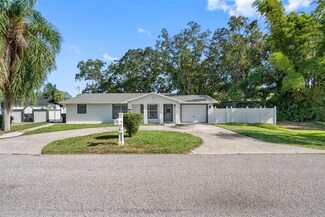 8807 Audrey Ln, Tampa, FL 33615