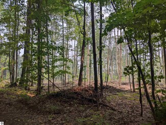 0000 Satterly Lake Rd Unit 15, Mancelona, MI 49659