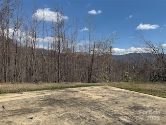 99999 Long Branch Rd Unit 1 & 2, Swannanoa, NC 28778