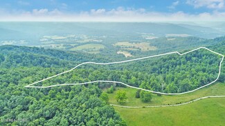 0 Buzzard Roost Rd, Jamestown, TN 38556