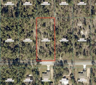 0 Tbd Sw Nautilus Blvd Lot 28, Dunnellon, FL 34431