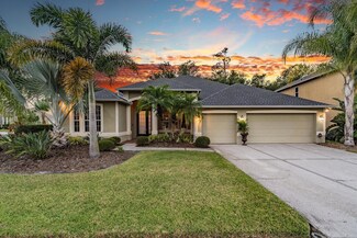 3353 Loggerhead Way, Wesley Chapel, FL 33544