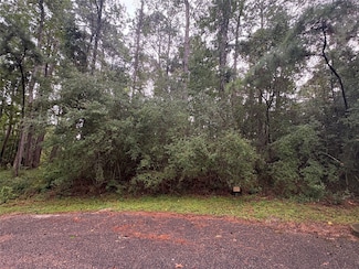 22 & 23 Helena Ct, Cape Royale, TX 77331