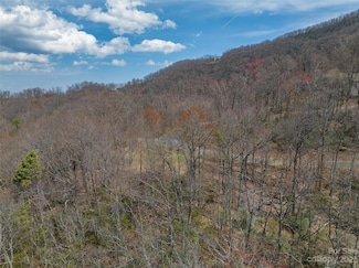187 Arcadia Falls Way Unit 77, Black Mountain, NC 28711