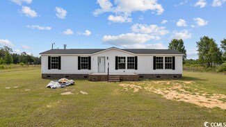 533 Higdon Ct, Latta, SC 29565
