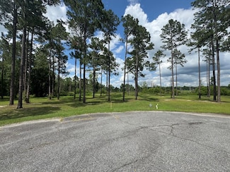 163 Country Woods Ct, Sylvester, GA 31781