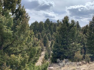 Lot 63 Pony Express Trail, Butte, MT 59748