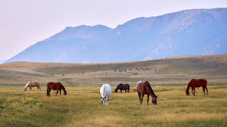 0 N Sheep Mountain Rd, Laramie, WY 82070