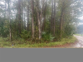 0 Pearl St, Astor, FL 32102