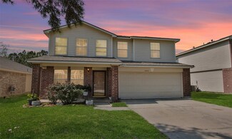 16927 Reston Glen Ln, Houston, TX 77073