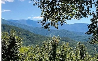 #50 Harris Ridge Rd, Young Harris, GA 30582