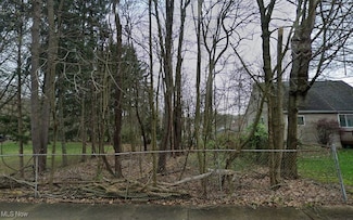 Lot 2 Burbank Ave, Akron, OH 44305