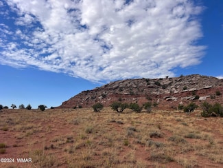 2345 W Ridgeview Ranch Dr, Snowflake, AZ 85937
