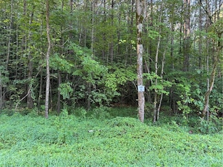 0 Price Creek Rd W Unit 7634164, Talking Rock, GA 30175