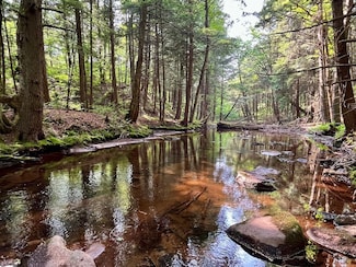 Wp 0 Benton Hollow Rd, Livingston Manor, NY 12758