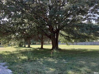 Lot 1 Douglas Dr, Murphysboro, IL 62966