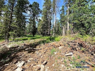 Lot 24 Other Unit Blue Sky Loop, Lead, SD 57754