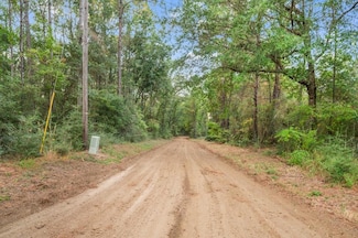 1080 Cr 2133, Burkeville, TX 75932
