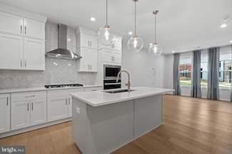 43476 Danville Terrace, Ashburn, VA 20148