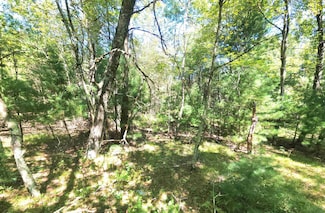 0 W Pine Creek Rd, Hixton, WI 54635