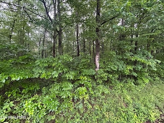0 Wilder Rd, Clarkrange, TN 38553