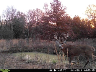 0 Central Grove Rd & Marling Rd N Unit MIS25030827, Montgomery, MO 63359
