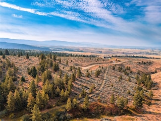 Lot 10 Sapphire Ridge, Florence, MT 59833