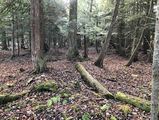 9700 No 1 Rd, Copemish, MI 49625