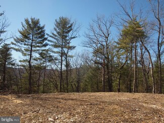 0 Reddish Knob Rd Unit PARCEL 2, Sugar Grove, WV 26802