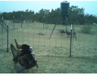 9349 E Us Highway 190, Eldorado, TX 76936