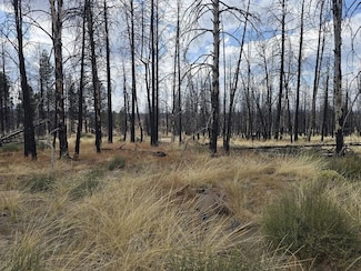 0 White Birch Way Unit 25312910, Bly, OR 97622