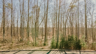 11 W Golden Island, Nancy, KY 42544