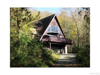 8690 Kruse Rd, MacHias, NY 14101