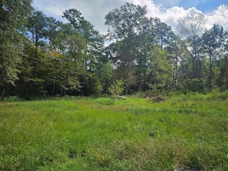 245 Red Cedar Ln, Huntington, TX 75949