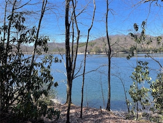 00 Vess Owen Rd, Tuckasegee, NC 28783
