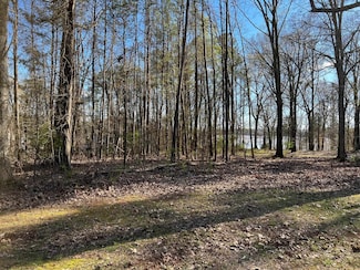 Lot 11 Barnett Rd, Rogersville, AL 35652