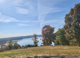 116 River Run Trail, Spring City, TN 37381