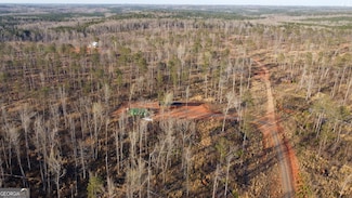 1374 Hopewell Rd, Forsyth, GA 31029