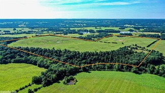 000 Dots Cove, Quitman, AR 72131